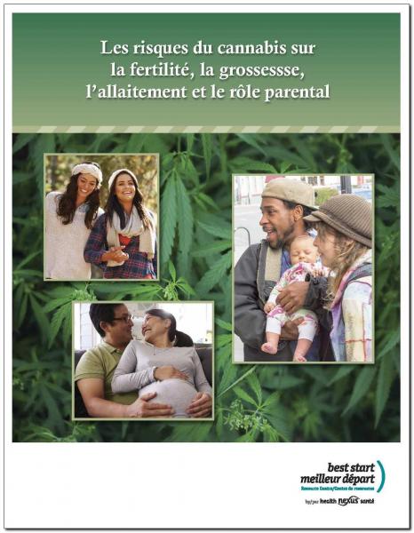 Les risques du cannabis sur la fertilité, la grossessse, l’allaitement et le rôle parental - Livret